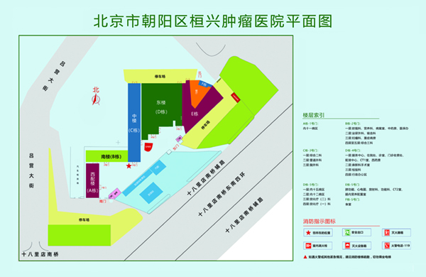 大鸡巴操美女小学的网站北京市朝阳区桓兴肿瘤医院平面图